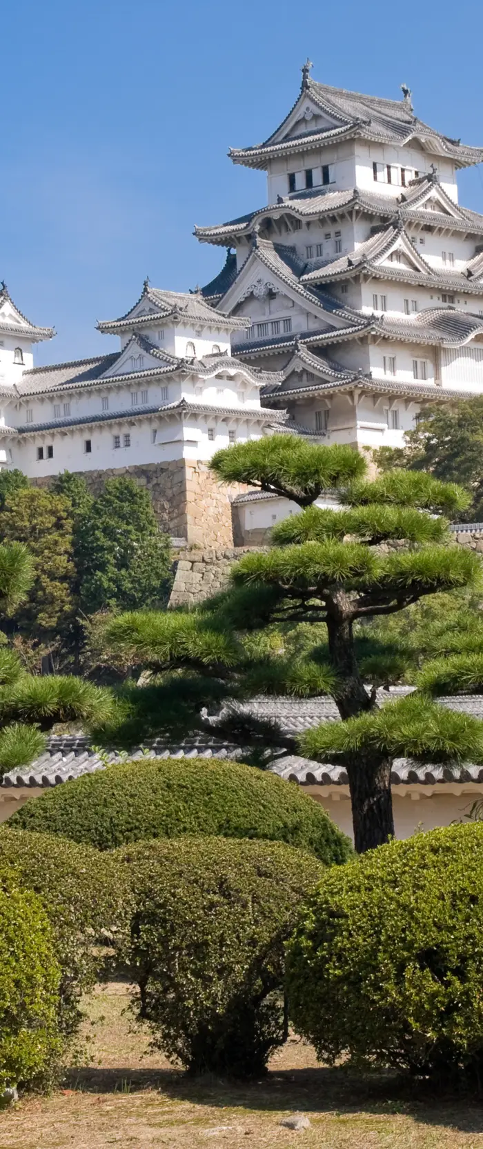 JAPONSKA, 15.-26.10.2026 NAD 35 OSEB