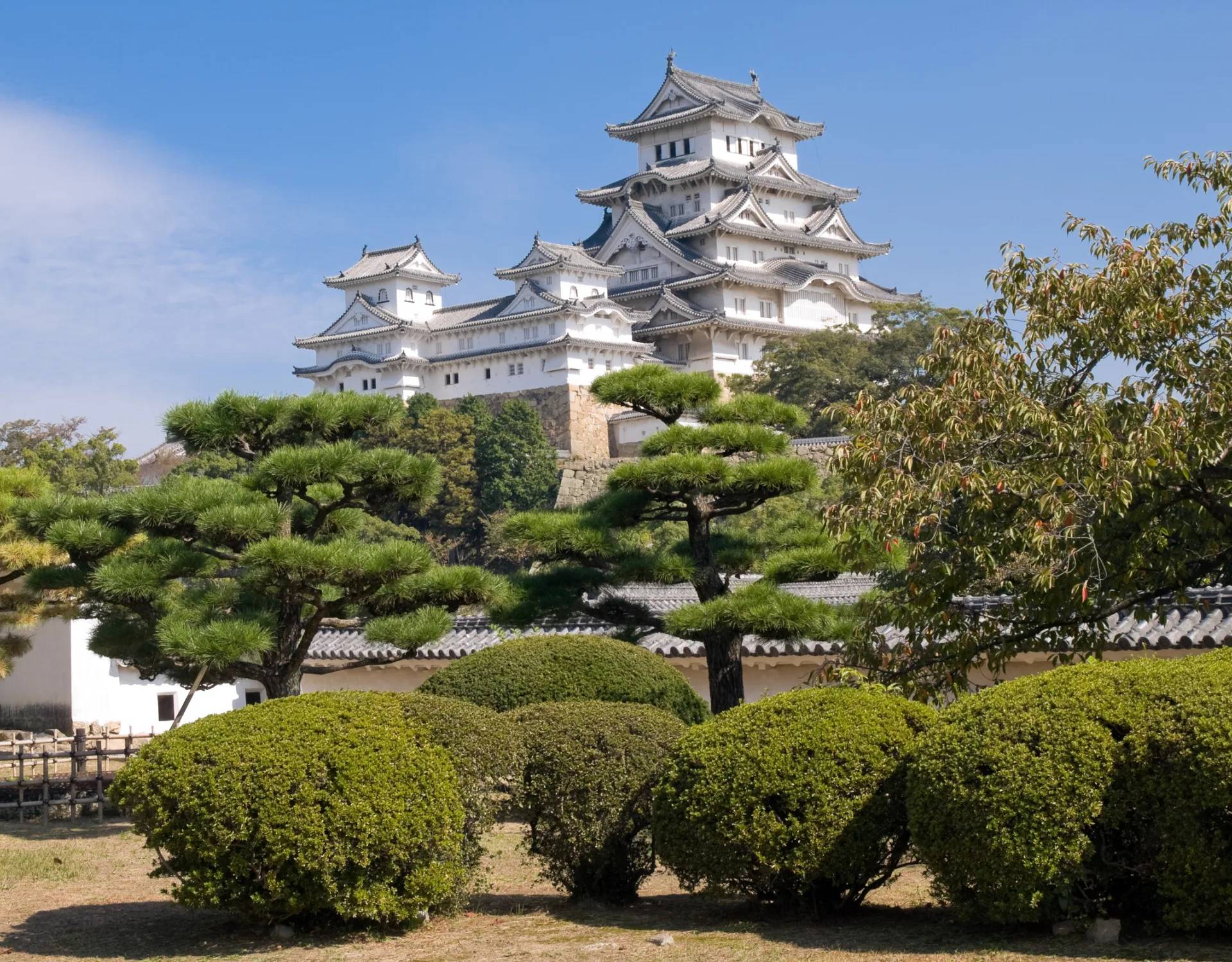 JAPONSKA, 15.-26.10.2026 NAD 35 OSEB