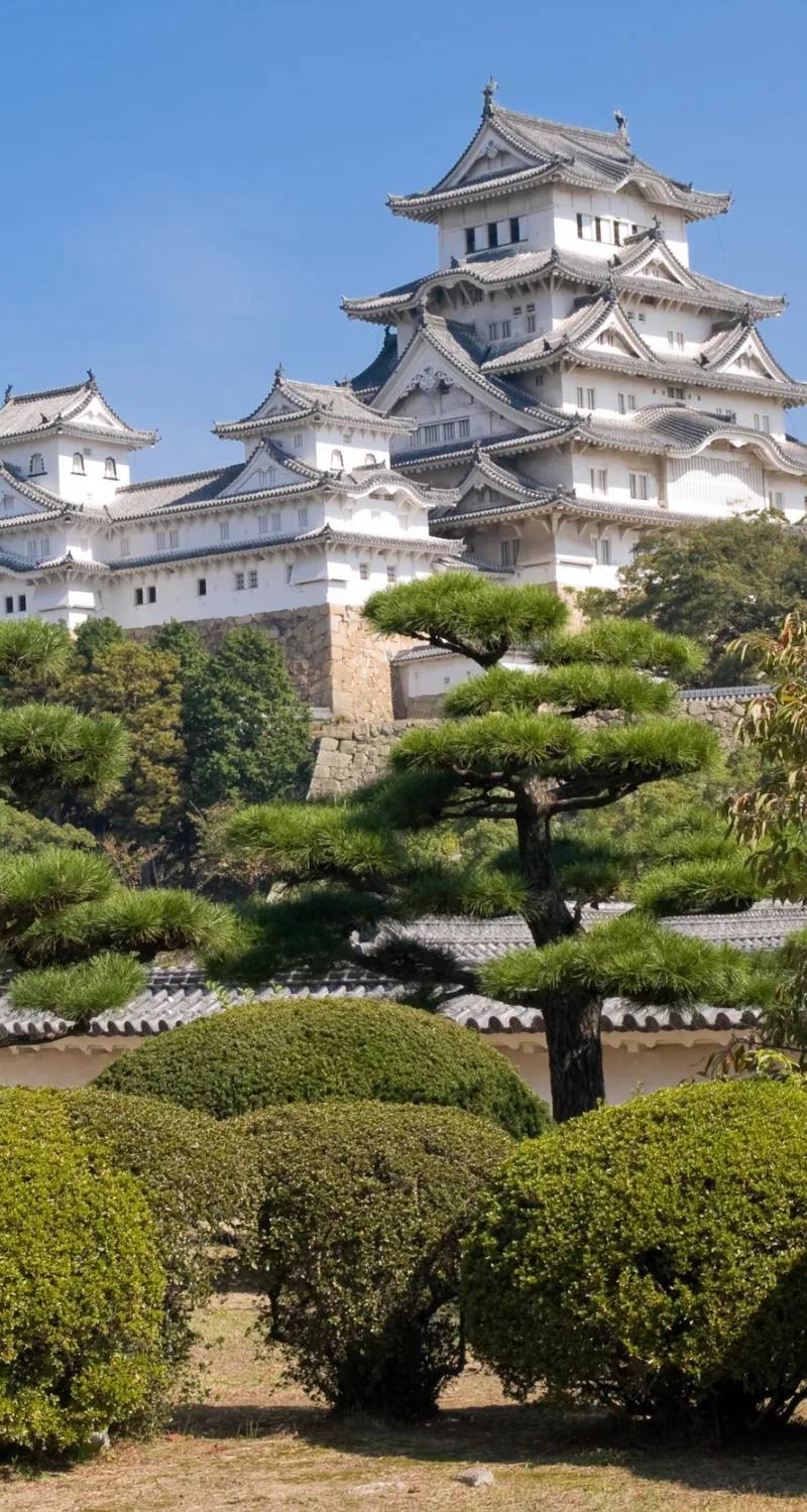 JAPONSKA, 15.-26.10.2026 NAD 35 OSEB