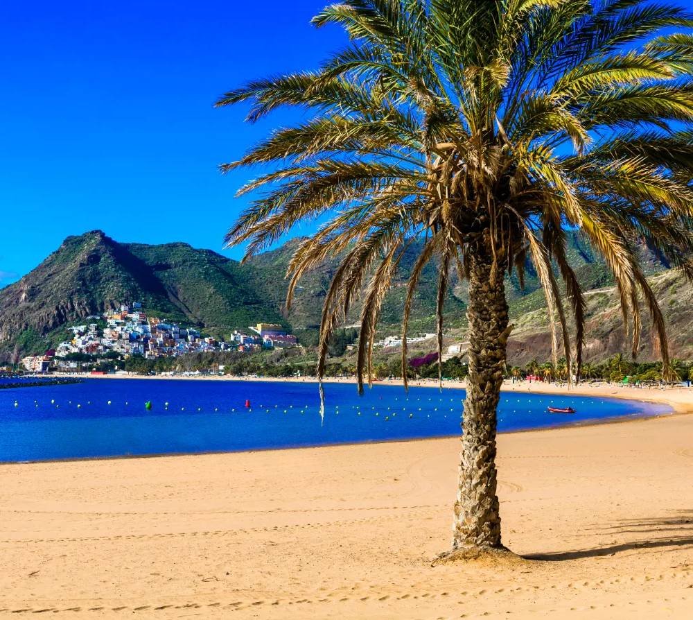 SONČNI TENERIFE, 27.11.-04.12.2026 NAD 40 OSEB
