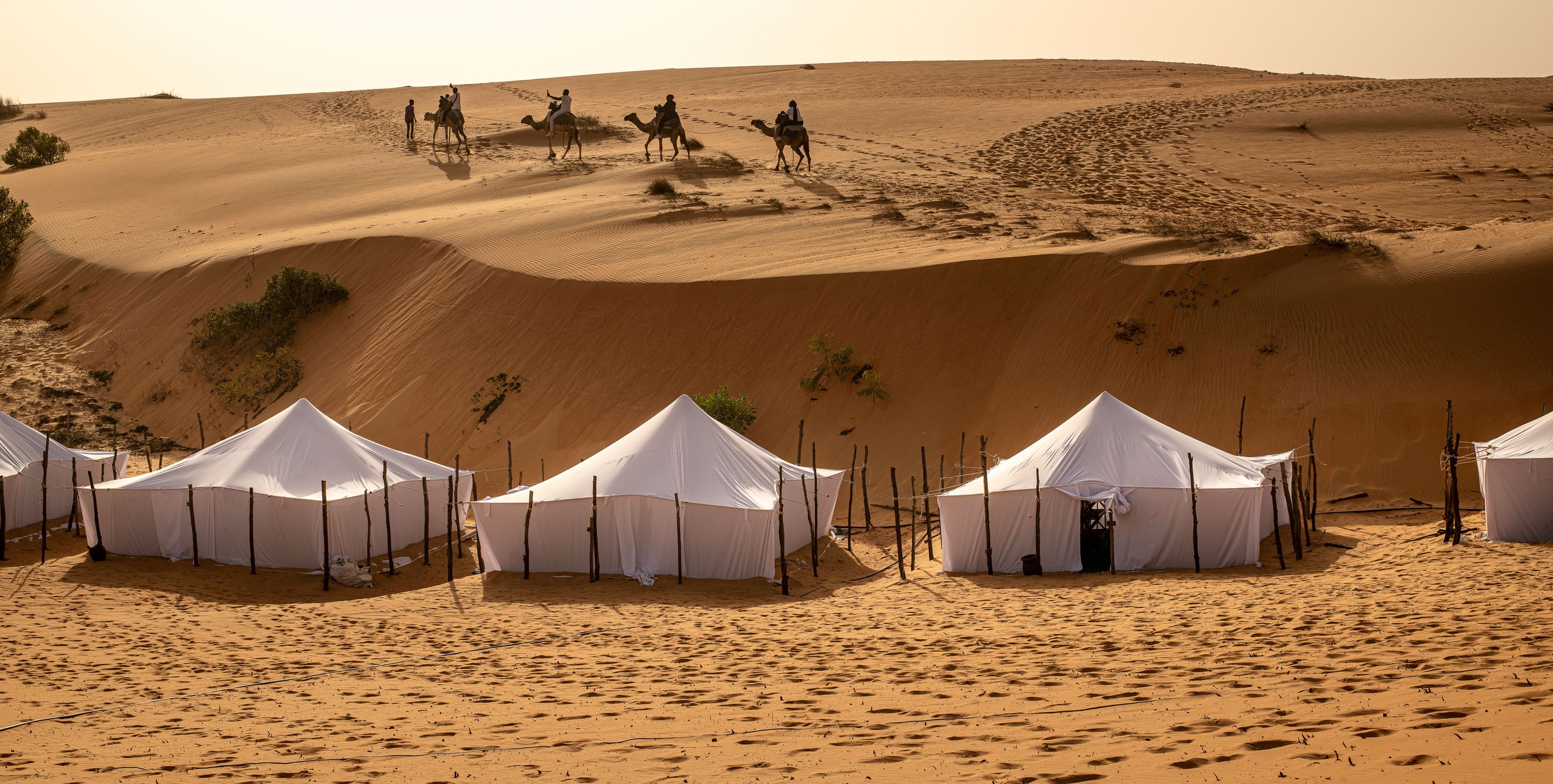 SENEGAL, 23.01.-04.02.2027 NAD 18 OSEB