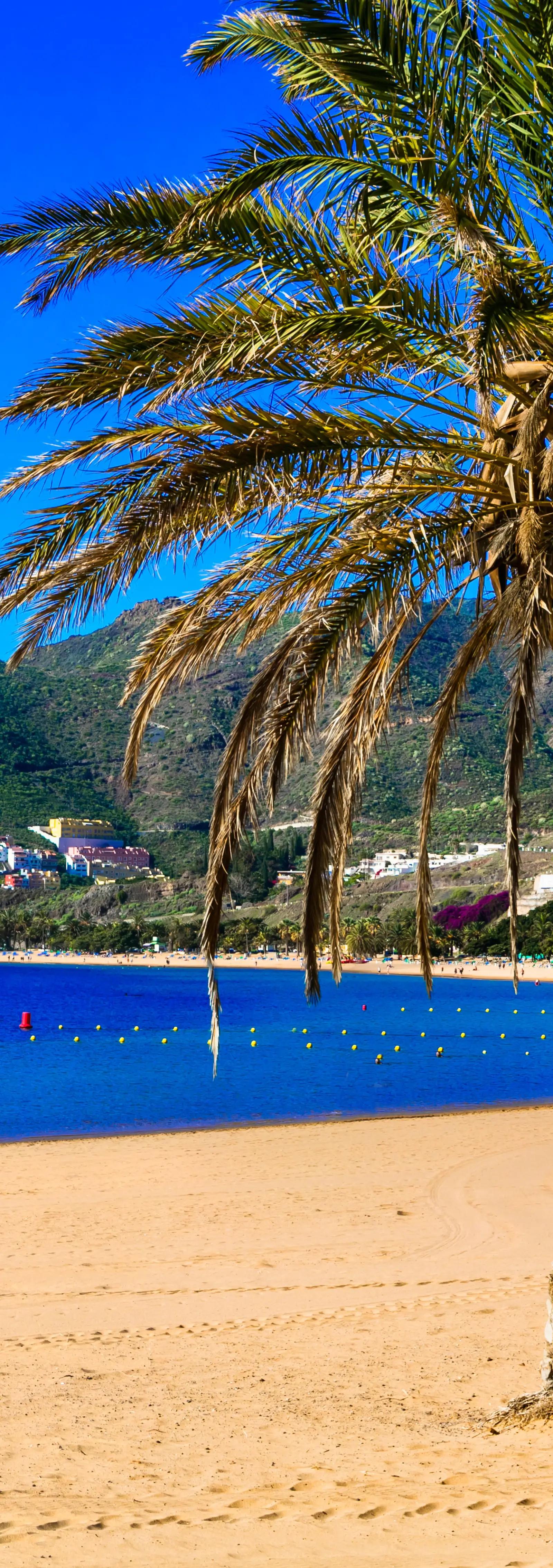 SONČNI TENERIFE, 27.11.-04.12.2026 NAD 40 OSEB